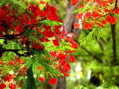 Khách Sạn Hoa Phượng – Foto’s 5