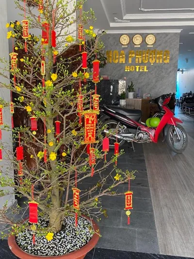 Khách Sạn Hoa Phượng – Foto’s 15